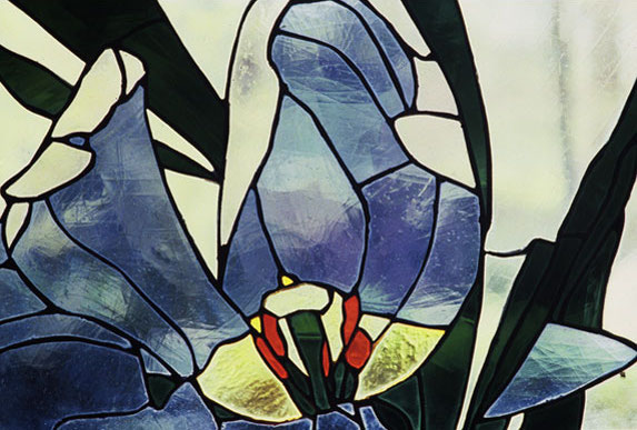 Tulip Spending - 18" x 20"